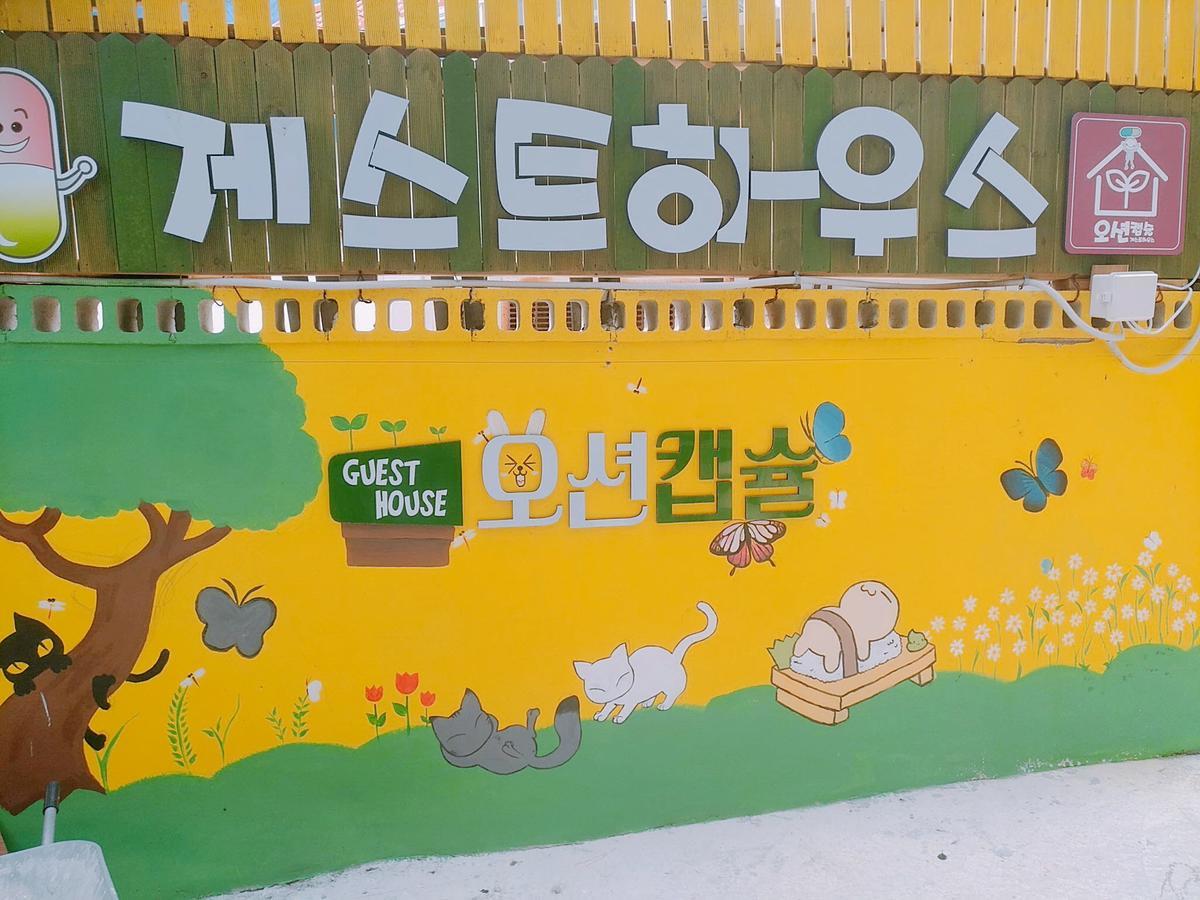 Ocean Capsule Guesthouse Gangneung Exterior foto